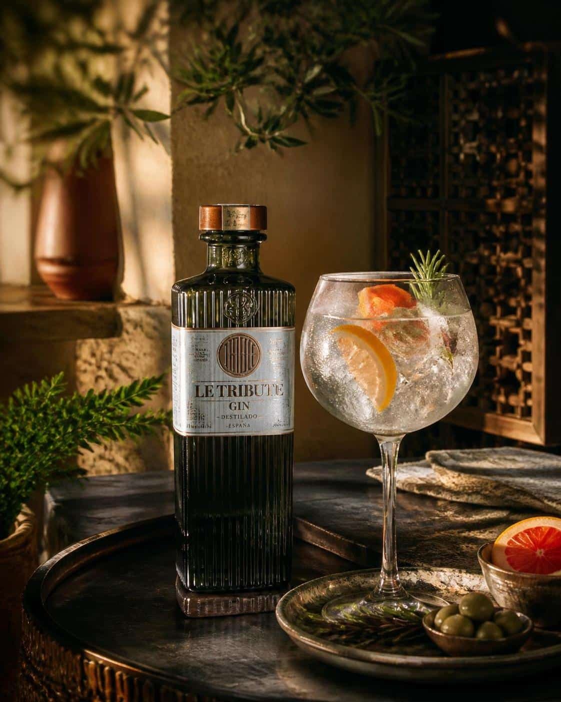 découvrez tout sur le gin espagnol : son histoire, ses saveurs uniques et les meilleures marques à connaître pour les amateurs de ce spiritueux.